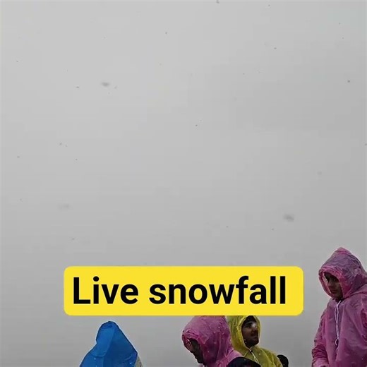 fresh snowfall at chandrashila peak #travel #chopta #tungnath #uttarakhand #chandrashila #snow