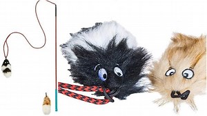 10 Best Flirt Pole for Dogs