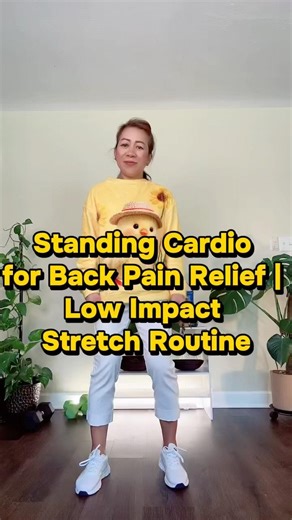 Standing Cardio for Back Pain Relief | Low Impact Stretch Routine