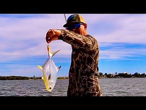POMPANO Catch Clean & Cook Bluegabe Style