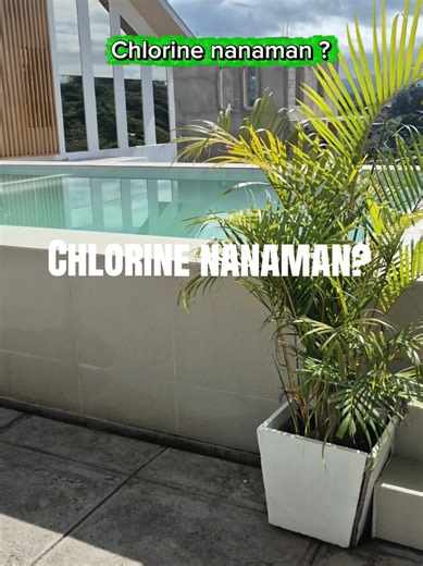 Chlorine in Pool Problems: Causes and Fixes for New Pool Owners