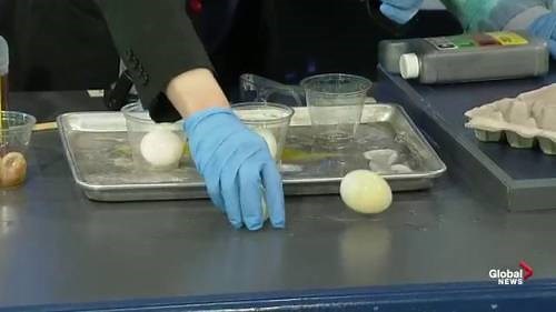 Cool Science: How osmosis works using eggs