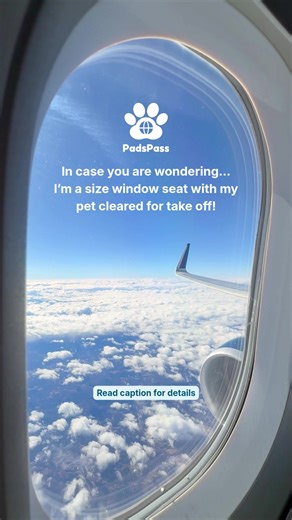 Because traveling with your pet isn’t just booking a ticket. It’s checking requirements. Updating vaccines. Making sure you won’t be turned away at check-in. That’s why we built the PadsPass app! Your pet’s health records — securely stored. ✅ Travel requirements — simplified. ✅ Compliance — handled ahead of time. ✅ Because the real flex is being a prepared pet parent before you book the flight! 📲 Download PadsPass in the App Store & Google Play ✈️ Upgrade to the Digital Pet Passport to unlock p