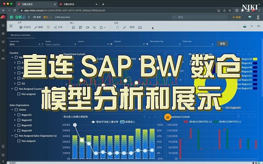 如何使用在线 BI 工具直连 SAP BW 数仓进行数据模型分析和展示