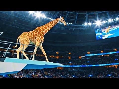 Epic Animal Olympic Dives: Wins the Gold Medal? 🏅 Diving Performance Highlight 2025