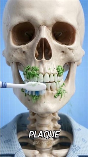 Brushing Teeth Before Breakfast vs Brushing Teeth After Breakfast 🦷🪥