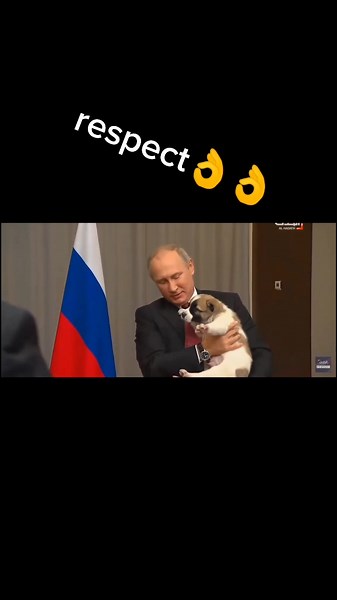 Respect: A Deep Dive into Its Meaning