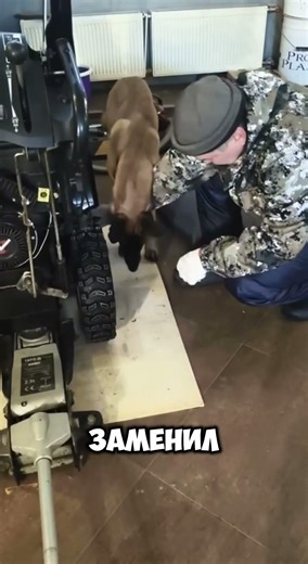 Snowblower repair! Check!