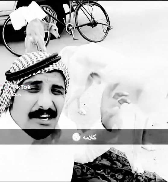 ‏جحدك بثلاث ايام👀 #علووّووش👑🎖 #لايك__explore___ #اكسبلور #علووّووش