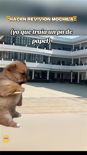 ¿Qué es un pn de papel? Descubre su significado