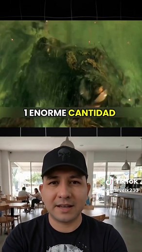 El detalle oculto de Venom 3 que demuestra que NO está muerto. 🤯 La teoría definitiva sobre cómo el simbionte sobrevivió a The Last Dance y su futuro con el Spider-Man de Tom Holland. Cuéntame en los comentarios si notaste esta pista. 👇 #Marvel #Venom #VenomTheLast Dance #EddieBrock #SpiderMan