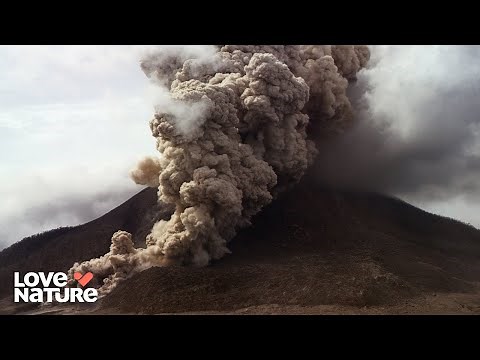How Mexico’s Volcanoes Shaped History… and Tequila | Volcanic Odysseys 202