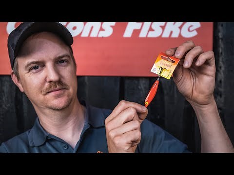 Bra beten vid fiske efter regnbåge.