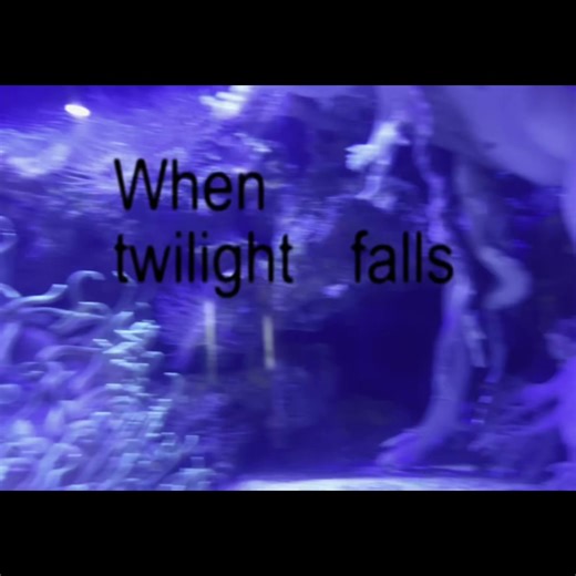 The Song Cut Off Before the End!