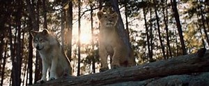 The Wolf and the Lion trailers and videos.