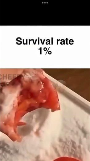 Can you survive ts with a straight face