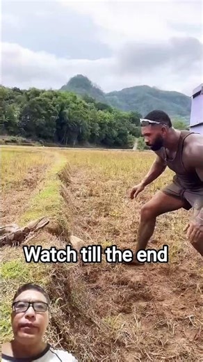 MAN VS PYTHON, #fyp #youtubeshorts #viralvideo #python