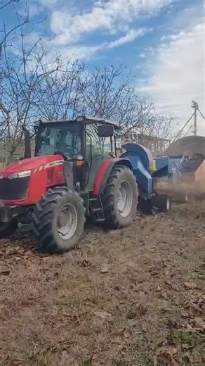 Tallahassee Tung Oil on Instagram: "We have completed harvest season at our tung tree orchards! 🎉 Now, the work begins at our milling facility to extract and process the tung oil. Stay tuned for updates and more pictures and videos! #tungoil #agriculture #madeinamerica #farmlife #woodworking"