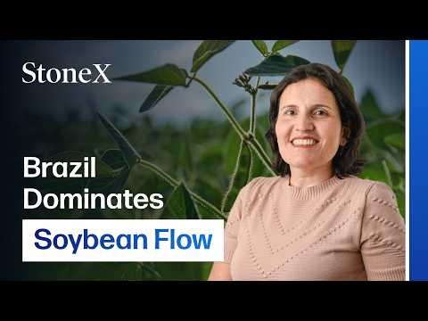 Brazil’s Massive Soybean Crop Sparks Global Market Shockwaves