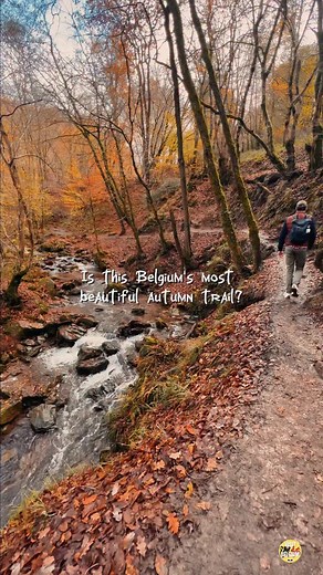 One of Belgium’s most popular trails ! 🇧🇪 🇫🇷 Connaissez-vous la balade du Ninglinspo ? 🍂 La randonnée parfaite pour admirer les couleurs flamboyantes de l’automne ! En suivant le balisage bleu (niveau modéré), nous avons longé le torrent du Ninglinspo au cœur de la forêt ardennaise 🌿💦 Et le clou du spectacle ? Un point de vue à couper le souffle… à découvrir par vous-mêmes 🤫🤩 ⏰ Durée: 2h30 (2h pour le niveau difficile) 🟦 Balisage: Rectangle bleu 👣 Distance: 6km 🥾Chaussures de marche 