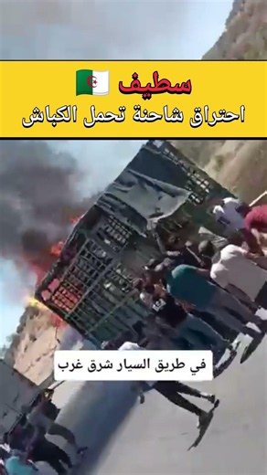 🇩🇿 شاحنة كباش تشتعل بالطريق السيار في سطيف… والشباب يتدخلون لإنقاذ الأضاحي! 🔥🐑 #الجزائر #ترند