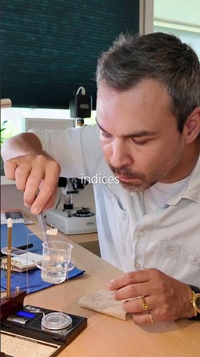Sapphire inclusion under the microscope / Gemology