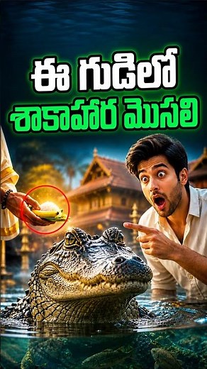 🐊 ఆ గుడిలో శాఖాహార మొసలి మిస్టరీ! 🛕