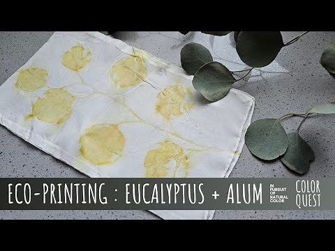 HOW TO ECO-PRINT WITH EUCALYPTUS & ALUM MORDANT | ORGANIC COLOR | SILK COTTON | BUNDLE DYE