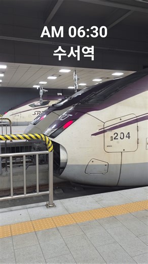새벽 수서역 첫차 대기 모습 보셨나요? 🚄 SRT 5대 | The Final Countdown at Suseo Station