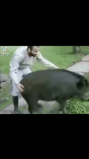 The_real_dababy (@thereal_dababy_les_goo)’s videos with original sound - Swooshswish