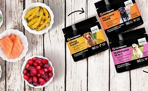 Pet Honesty Reviews: Allergy Relief, Allergy Immunity, Calming Hemp, Multivitamin, Grass Green, Probiotics And More