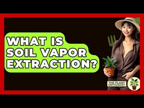What Is Soil Vapor Extraction? - The Plant Enthusiast