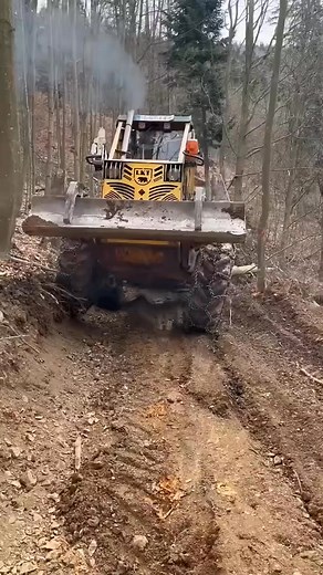 LKT 💯😱🌲 Beautiful Tractors #power #tractor #forestfarming #farming #woodworking #lkt | BHoward McDonald