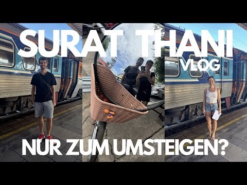 Vlog | Most people just drive right past… We explored Surat Thani!