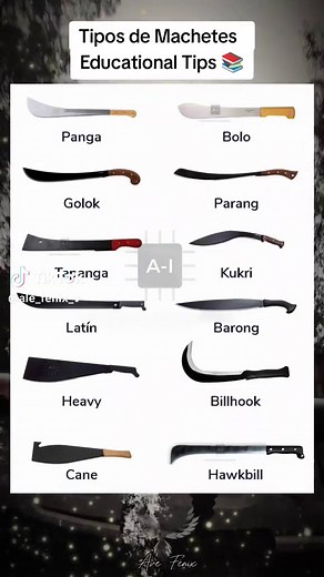 Tipos de Machetes: Educational Tips 📚