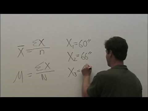 How to Find the Mean (Average): 4 Easy Steps With Example