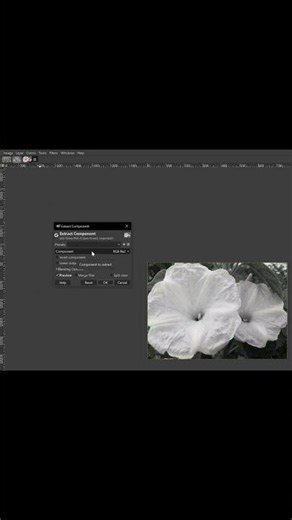 HOW TO CONVERT IMAGE TO BLACK WHITE IN GIMP FOR FREE SHORT