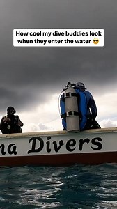 On a scale of 1-10, how would you rate my back roll entry? 🤣 In my mind, I thought I was doing it so gracefully like my dive buddies…. until I saw a video of myself flopping around on the surface.🤣 I’ve even seen divers who do a complete tumble underwater. Like they really roll! Then, they get to the surface emerging like some ocean god/ goddess. 🔱 Like how do you do that? 🤨 Meanwhile, I look like I am trying not to drown 😅 Is there some technique or secret to make a back roll entry smoothe