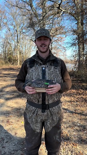 Oversized Duck Decoys Unveiled! Introducing Quake Lake