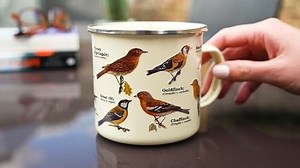 Watch Unique enamel mugs that are ideal for outdoors and camping on Amazon Live