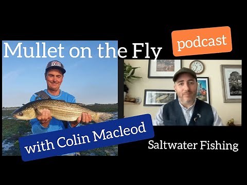 Mullet on the Fly - Podcast with Colin Macleod (Fly fishing for mullet)