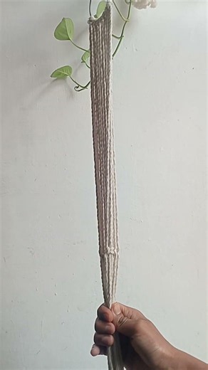 macrame plant hanger decor your living room easy design#shorts#diy #macrame #macrametutorial