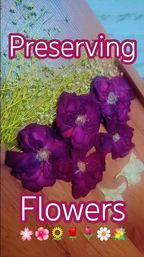 From Fresh to Forever 🌷 | Simple Flower Preserving Ideas #diy #art #craft#handmade #rose #flowers