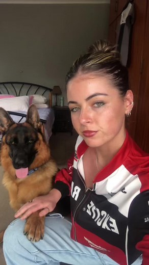 💋🐶💋. #fyp #germanshepherd #kissforkiss #happydoggo #bouttimeigotonhere