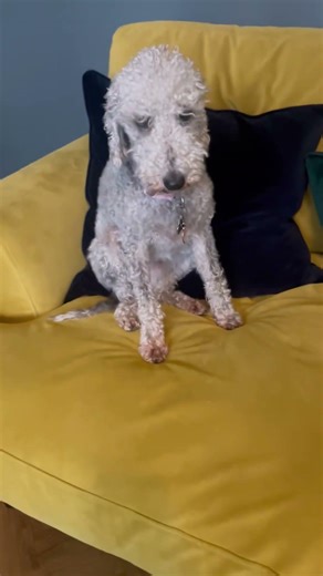 Ts is so fr 🥀😭