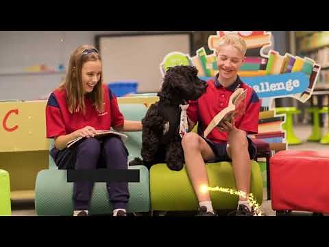 Premier’s Reading Challenge – Why do schools love taking part?