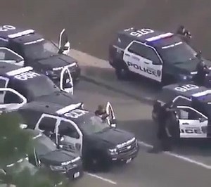 You will not believe what will happen with this high-speed car. | Zombie Dogz