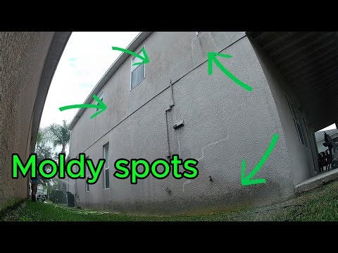 Prepping This House for Repaint | Satisfying House Wash & Driveway Clean