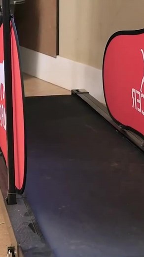 🏃🏼Treadmills for show dog exercise! Danny the Dachshund demonstrates how much he loves getting exercise on the treadmill! Do you use a treadmill for your show dog? Join us on February 8th to learn more about show dog nutrition & exercise, including how to use treadmills safely and effectively! | Leading Edge Dog Show Academy