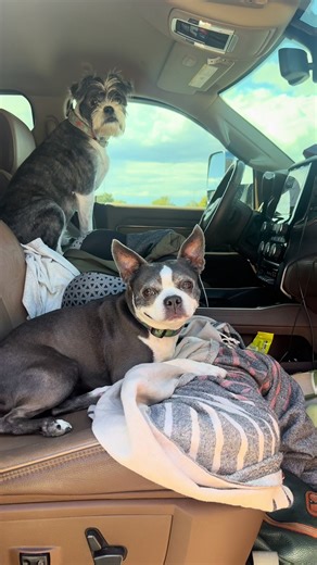 Quick pit stop in Salt Lake City ✨ Lunch in the Sam’s Club lot, stocked up on the essentials, and even here the views don’t disappoint. #rvlife #travelfamily #saltlakecity